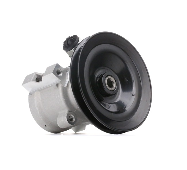 STARK SKHP-0540073 Pompe de direction assistée Opel Corsa B 1.4 (F08, F68, M68) 73 CV Essence 1994
