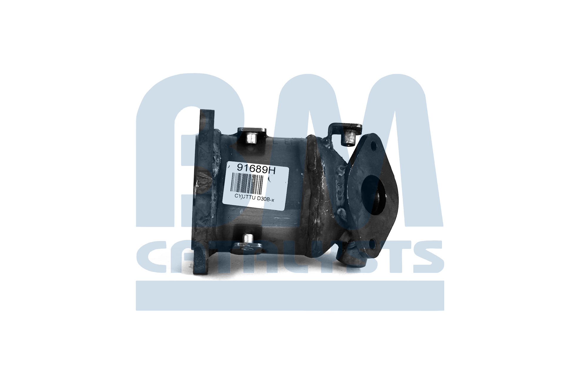BM CATALYSTS BM91689H katalysator 28530-02530