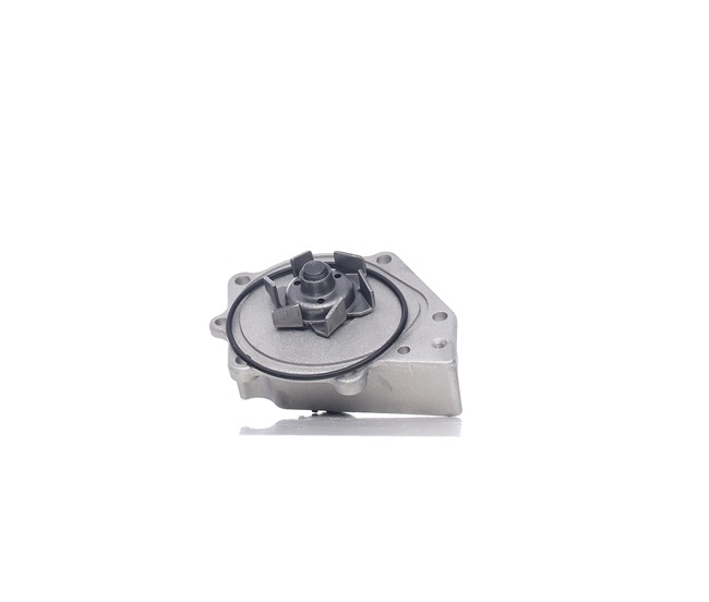 INA 538 0094 10 Bomba de água Rover 45 RT preço