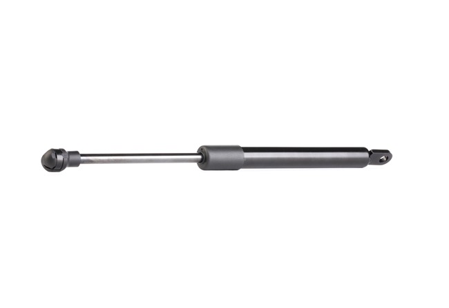 RIDEX 219G0524 A-kwaliteit en eerlijke prijzen