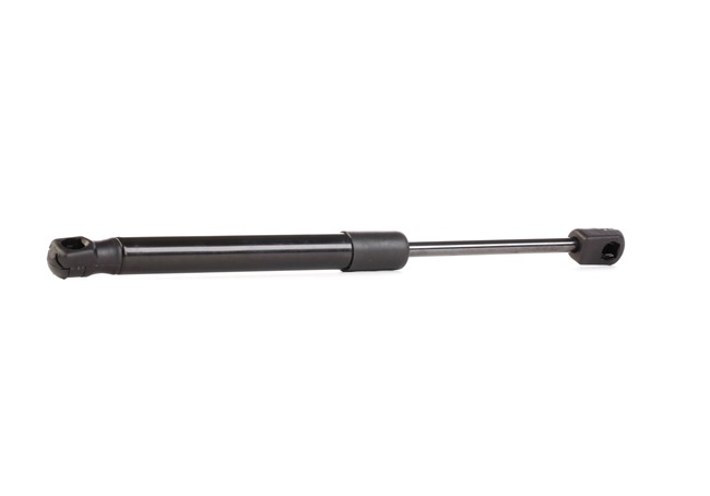 RIDEX 219G0454 HYUNDAI Sonata VI (YF) Takaluukun kaasujousi