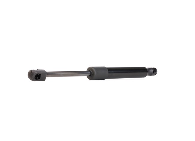 RIDEX 219G0625 A-kwaliteit en eerlijke prijzen