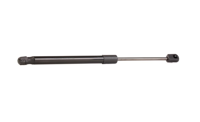 RIDEX 219G0519 gasveer achterklep 6025401711