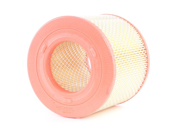 RIDEX 8A0541 Vzduchový filter RENAULT 21 1995