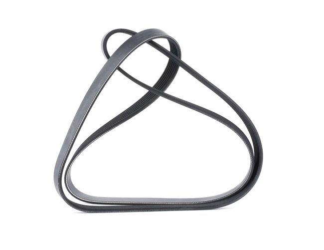 MEYLE 050 006 1565 multiriem 5750Z2
