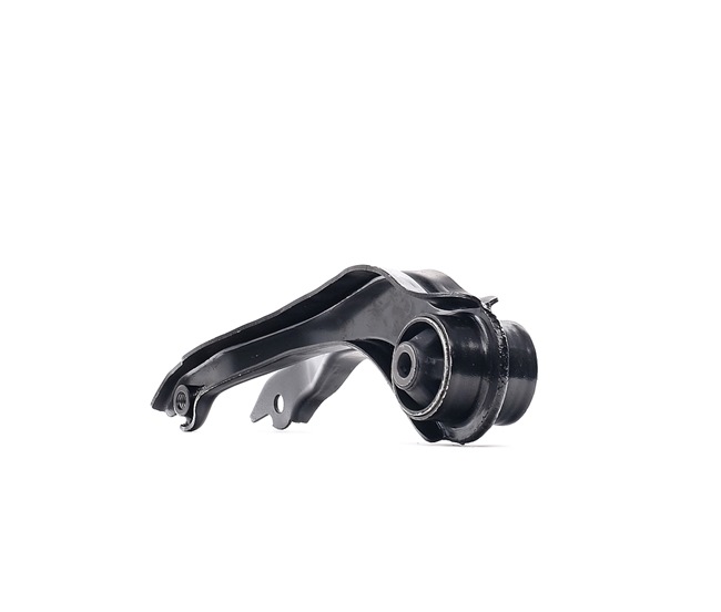 Support moteur de RIDEX 247E0160 à un taux avantageux
