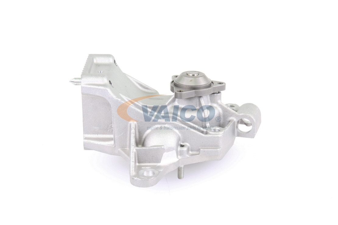 VAICO V40-50052 Waterpomp RENAULT Master I Flatbed Vrachtwagen/Chassis 2.5 DT 94 Pk Diesel 1991