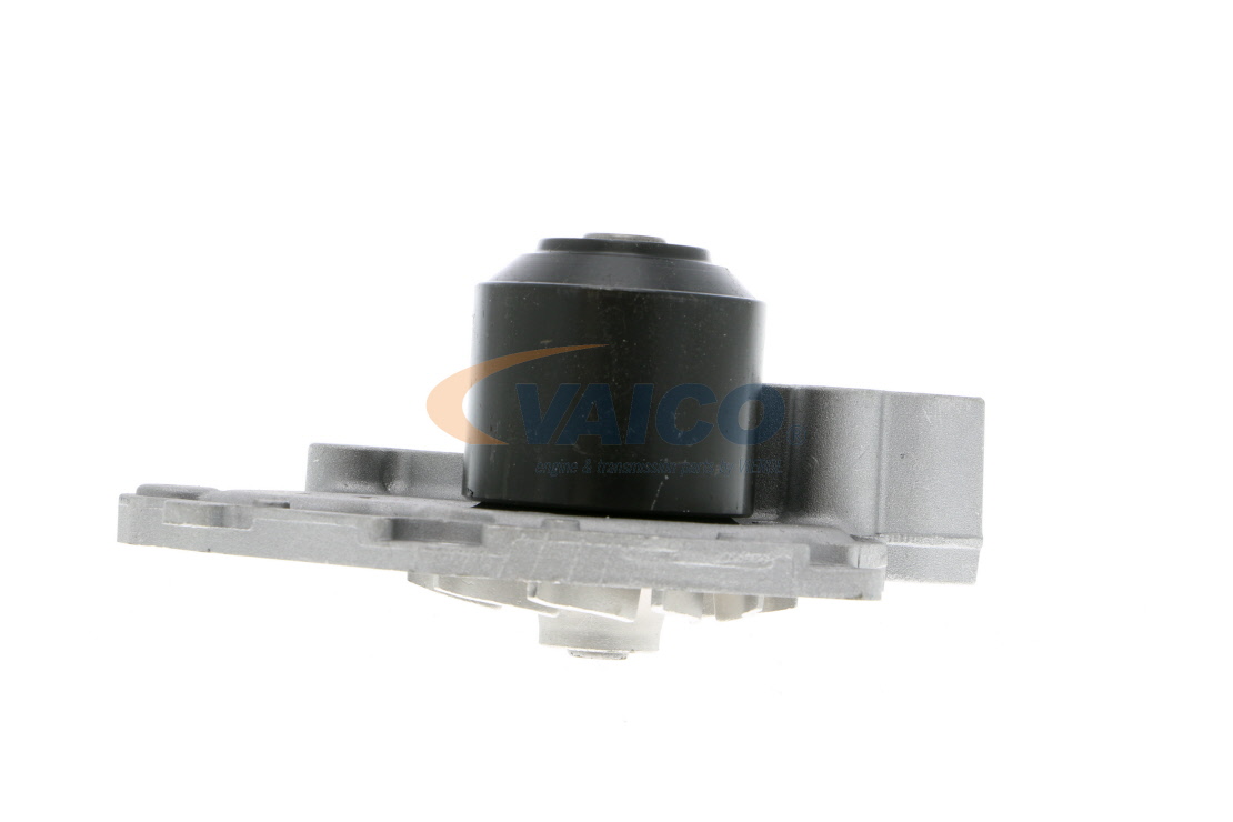 VAICO V38-50006 Vesipumppu Renault Megane 2 Cabriolet 1.9 dCi 120 hv Diesel 2007