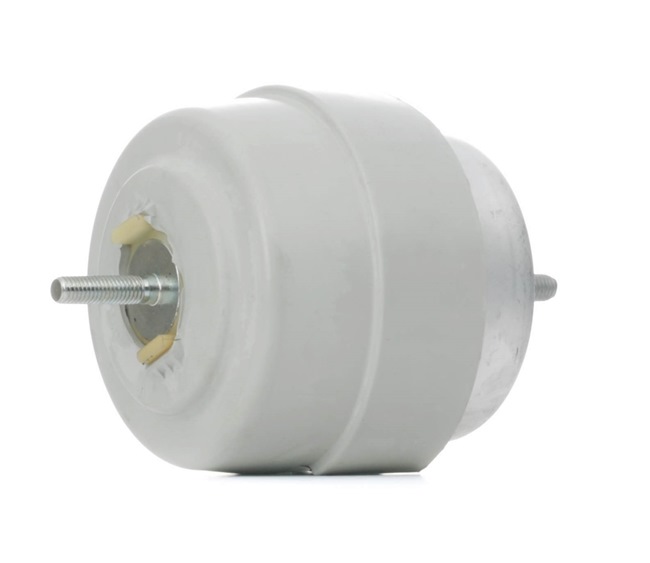 MEYLE 100 199 0189 Vlezajenje, motor SEAT EXEO 2021