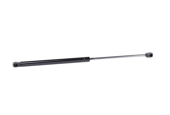 AUTOMEGA 100053210 gasveer achterklep 8731.E6