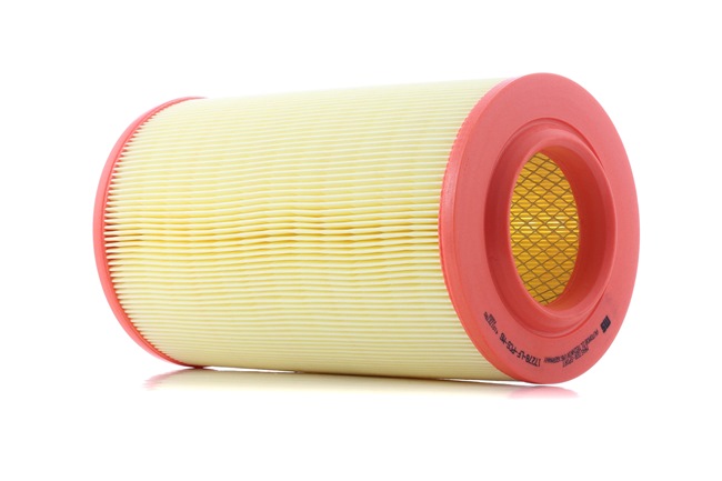 Filtre à air de VAICO V42-0039 à un taux avantageux
