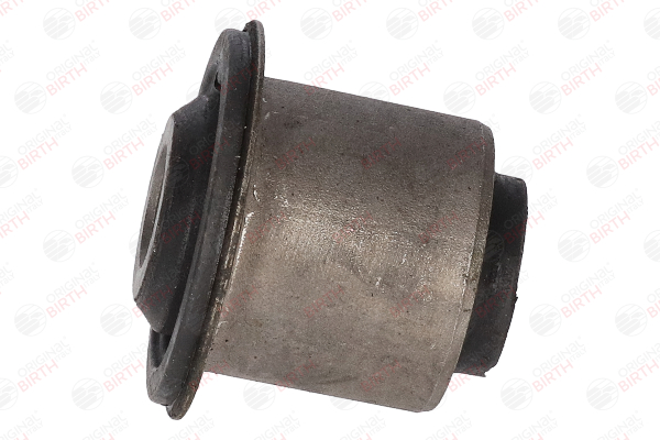 BIRTH 2051 Silent block Dacia Duster SUV 1.6 SCe 115 LPG 115 CV Benzina/Etanolo 2018