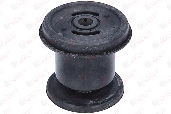 BIRTH 2434 achteras rubber 824 91 065
