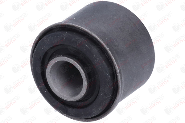 BIRTH 2439 Silent block Renault Scenic 1 1.9 dCi RX4 101 CV Diesel 2003