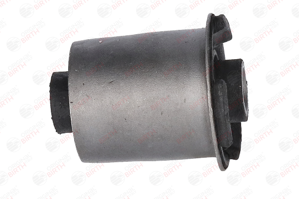 BIRTH 2447 Supporto assale Renault Scenic 1 2.0 16V RX4 139 CV Benzina 2000