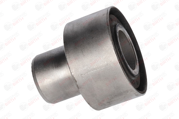 BIRTH 2448 Supporto assale Renault Scenic 1 2.0 16V RX4 139 CV Benzina 2001