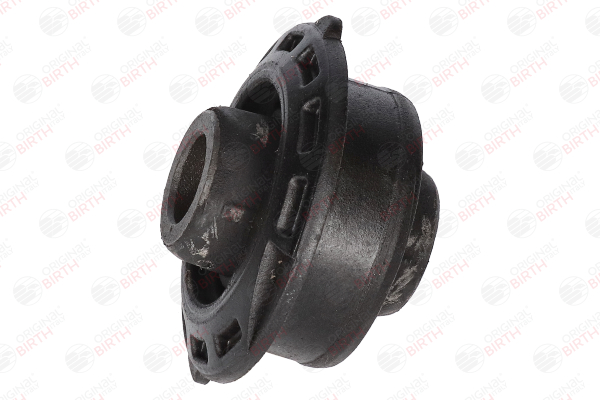 BIRTH 2496 Silent block Citroen C2 JM 1.4 75 CV Benzina 2007