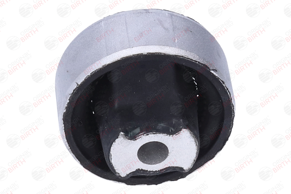 BIRTH 2733 Silent block FIAT Doblo II Station Wagon (263) 1.8 MPI Flex (1196091) 132 CV Benzina/Etanolo 2015