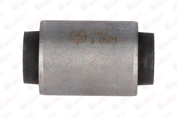 BIRTH 2861 Silent block Lancia Voyager RT 2.8 CRD (RT, 53) 163 CV Diesel 2012