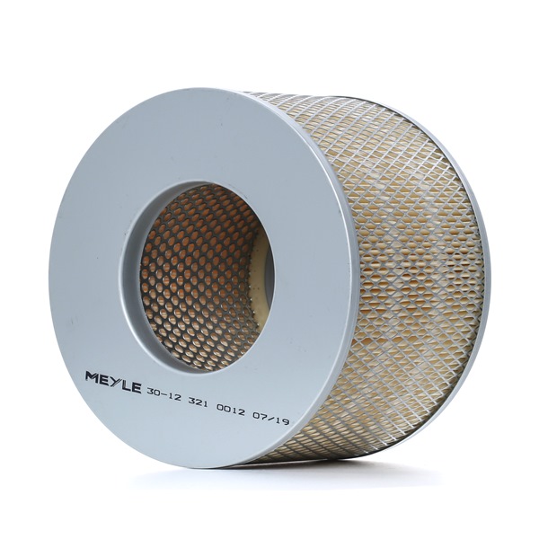 Filtro aria 30-12 321 0012 MEYLE Filtro dell'aria costo