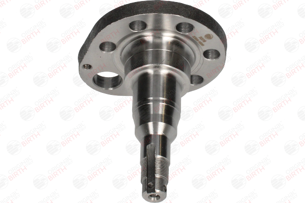 BIRTH 3379 Cubo da roda Passat 3a5 2.9 VR6 Syncro 184 cv Gasolina 1996