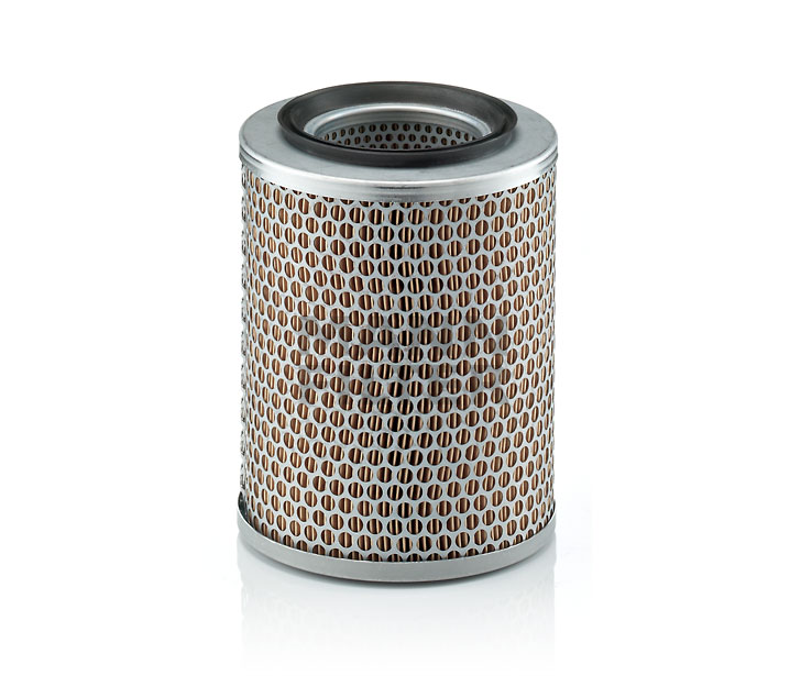 MANN-FILTER C 17 134 1A-Qualität und faire Preise