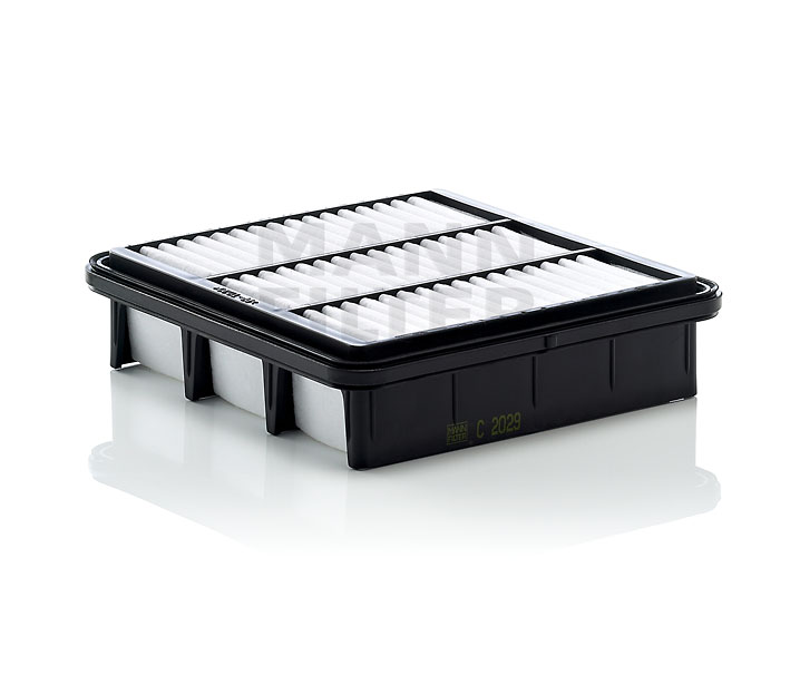 MANN-FILTER C 2029 Filtre à air KIA