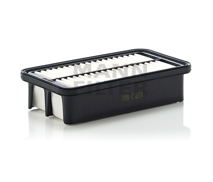 MANN-FILTER C 2219 di prima qualità a prezzi equi