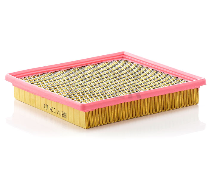 MANN-FILTER C 24 100 Filtro aria DODGE prezzo