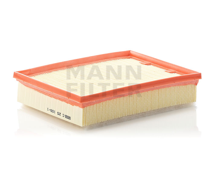 MANN-FILTER C 25 109/1 preço Filtro de ar RENAULT LAGUNA 2014 original