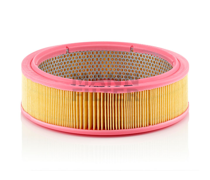 MANN-FILTER C 2545/1 luchtfilter 16546-89W00