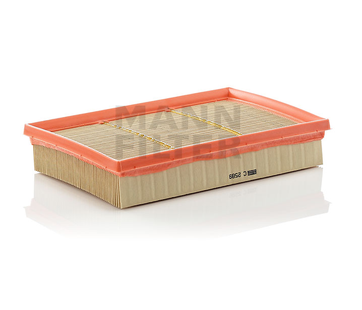Luftfilter MANN-FILTER BMW X3 C 2589