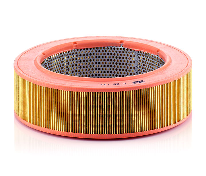 MANN-FILTER C 30 122 1991 MERCEDES-BENZ T1 Luftfilter Preis