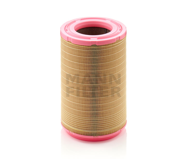 MANN-FILTER C 31 1254 di prima qualità a prezzi equi