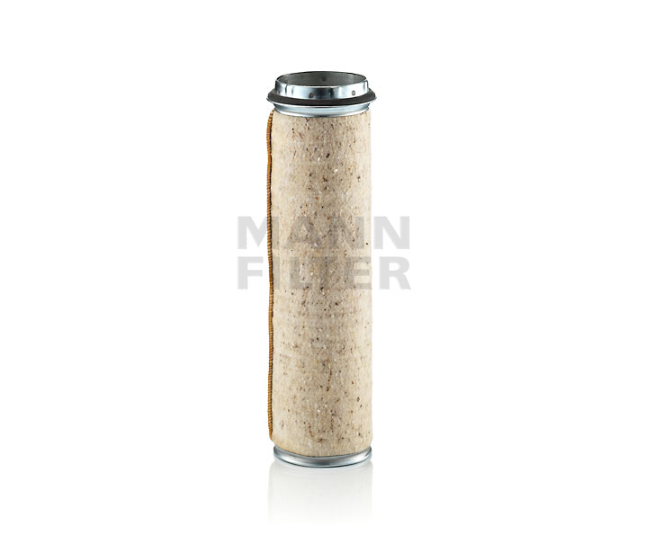 MANN-FILTER Sekundärluftfilter CF 1000 Ersatzteile FORD F4000 2025 Preis