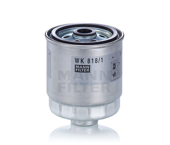TOPRAN Filtro carburante 820 243 a buon mercato