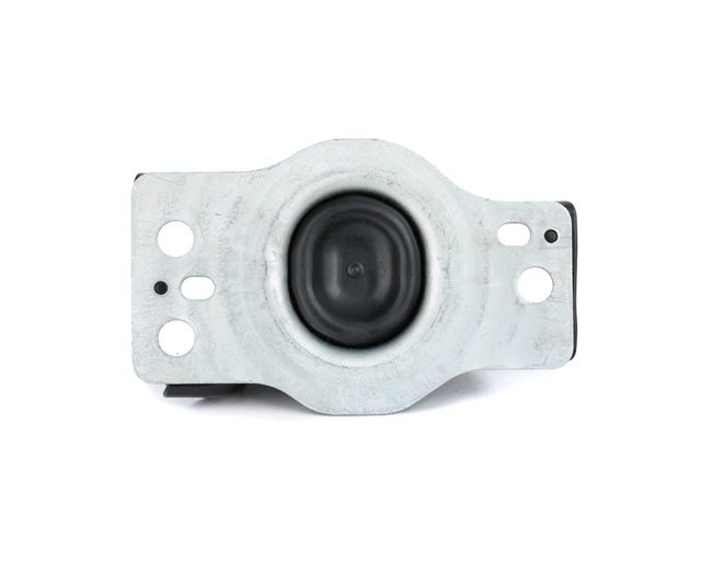Motorlager von REINHOCH RH11-2029 beste Qualität zum besten Preis