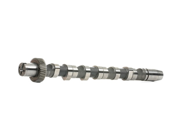 INA 428 0156 10 Albero a camme VW Passat B5 2.5 TDI 4motion 150 CV Diesel 2000