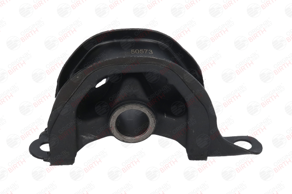 50573 BIRTH 50841SR3030 Motorlager