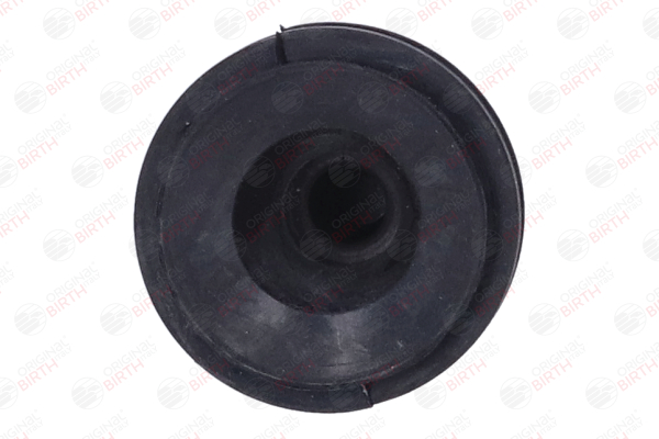 BIRTH 51603 Motorlager Vorderachse