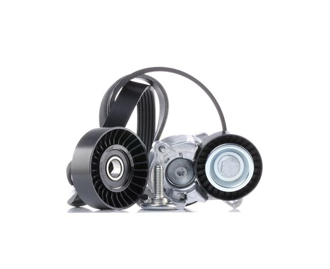 INA 529 0184 10 poly v-riem set 96362 07480