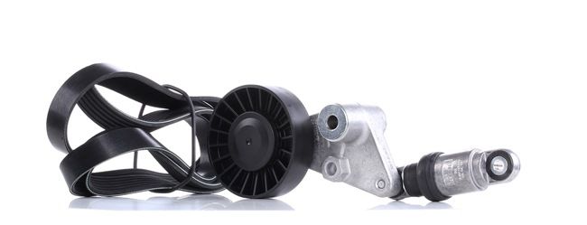 INA 529 0202 10 Σετ ιμάντων poly-v Saab 9-5 Combi 2.2 TiD 120 PS Πετρέλαιο 2009