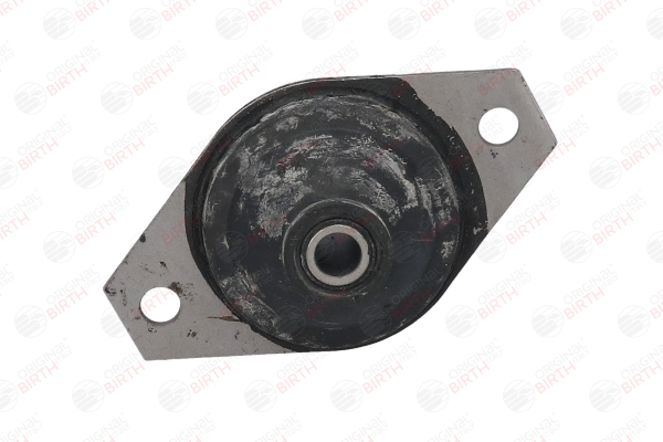 BIRTH 5509 Motorlager Vorderachse