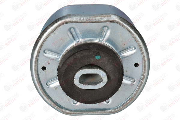 BIRTH 5698 Mittellager, Kardanwelle VW T4 1.9 TD 68 PS Diesel 2000