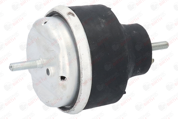 BIRTH 5917 Supporto motore Passat 3b5 2.0 120 CV Benzina 2000